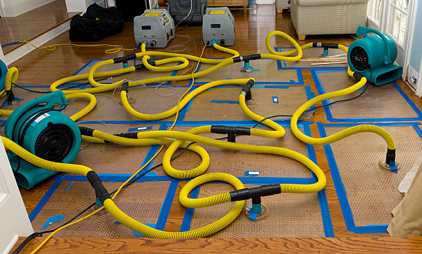 Professional Water Extraction technician working in Charlotte, TX